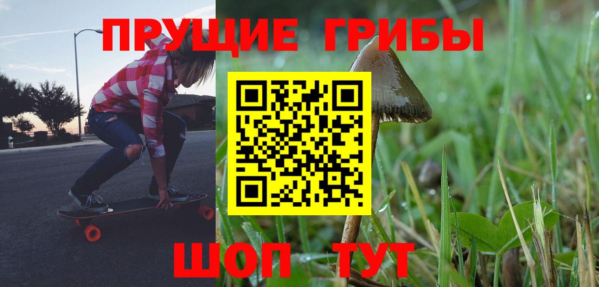 Псилоцибиновые грибы Psilocybine cubensis  Вход с VPN  Калач-на-Дону 
